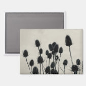 Teasels Magnet (Vorderseite/Rückseite)