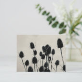 Teasels Postcard Postkarte (Stehend Vorderseite)