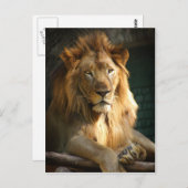 TecBoy Postcard - Lion (Vertikal) Postkarte (Vorne/Hinten)