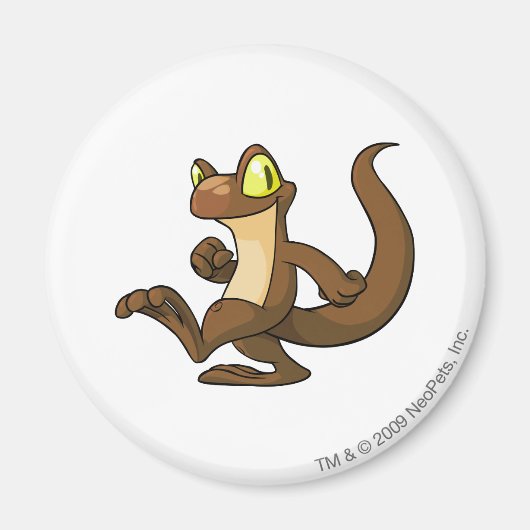 Techo Brown Magnet (Vorne)