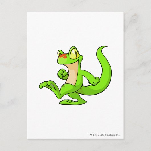 Techo Green Postkarte (Vorderseite)
