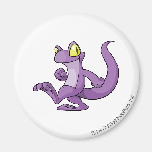 Techo Lila Magnet (Vorne)