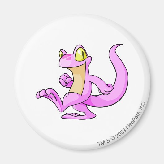 Techo Pink Magnet (Vorne)