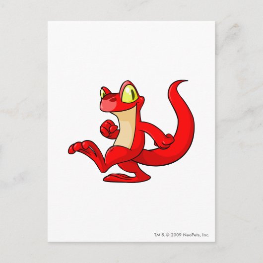 Techo Red Postkarte (Vorderseite)