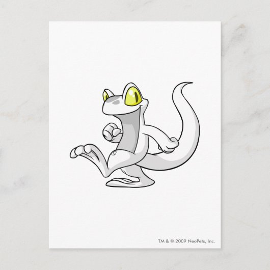 Techo Weiß Postkarte (Vorderseite)