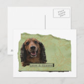 Teckle / Dackel in Grüntönen Postkarte (Vorne/Hinten)