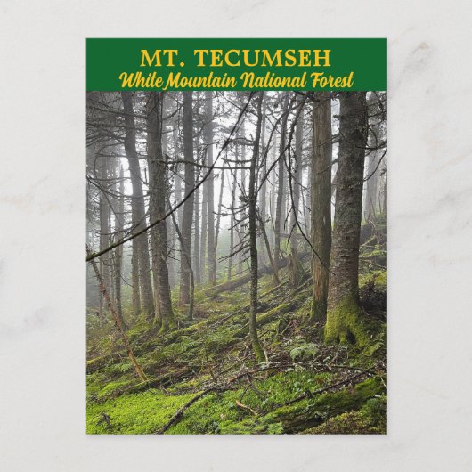 Tecumseh White Mountains Postcard Postkarte (Vorderseite)