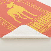 Ted Lasso | AFC Richmond Gold Arted Logo Sherpadecke (3/4)