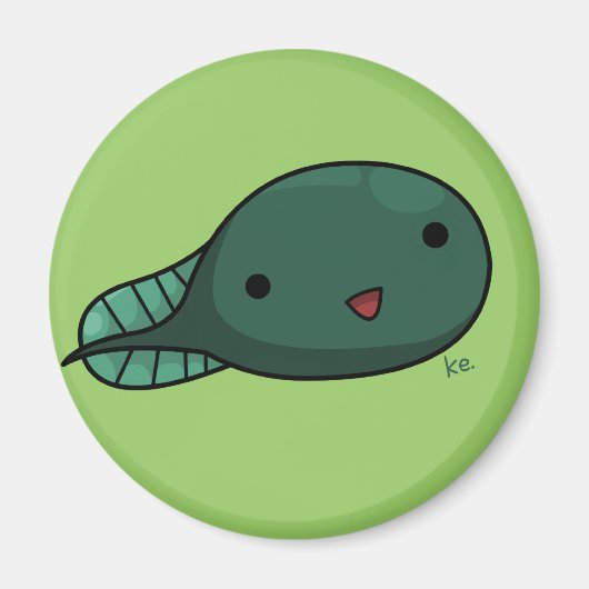 Ted Ted Magnet (Vorne)