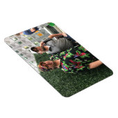 Ted und BF Magnet (Rechte Seite)