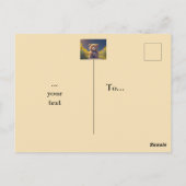 Teddy Bär auf einer Wiese, zu jedem Anlass Postkarte (Rückseite)