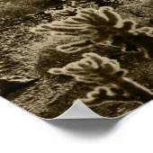 Teddy Bar Cactus Poster (Ecke)