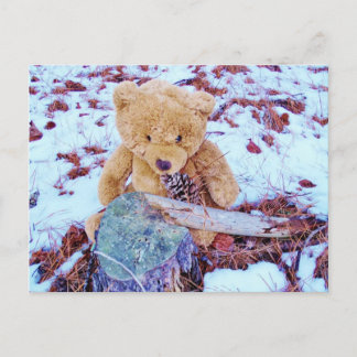 Teddy Bär im Schnee, denim blauer Tint Postkarte