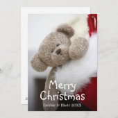 Teddy-Bär in Weihnachten Strumpf (Vorne/Hinten)