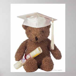 Teddy Bär mit Morast und mit Kreide Poster
