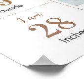 Teddy Bear Balloon Beary First Year Meilenstein Poster (Ecke)