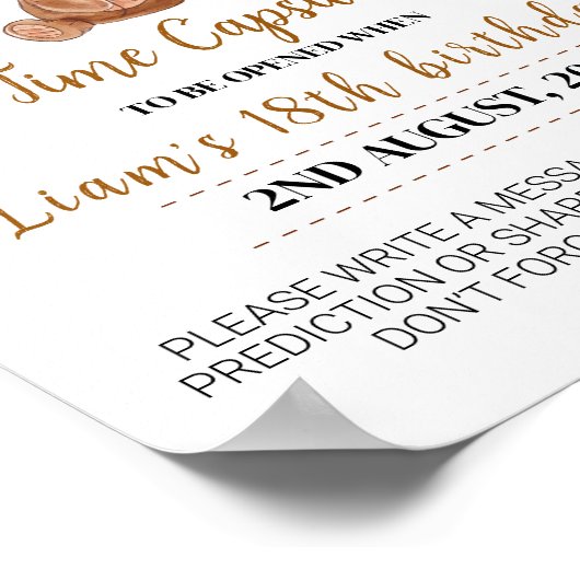 Teddy Bear Balloons Birthday Time Capsul Zeichen Poster (Ecke)