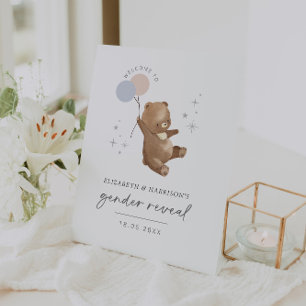 Teddy Bear Balloons Gender Reveal Willkommenszeich Sockelschild
