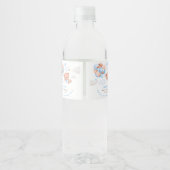 Teddy Bear Boy Baby Shower Wasserflaschenetikett (Rückseite)