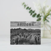 Teddy Bear Cholla Cactus Desert Pflanze Postkarte (Stehend Vorderseite)