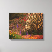 Teddy Bear Cholla Cactus Wildblumen Desert Scene Leinwanddruck (Vorderseite)