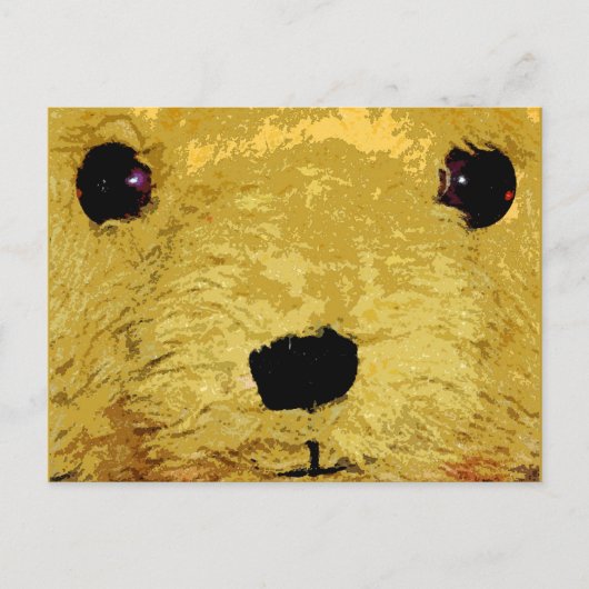 Teddy Bear Face Postkarte (Vorderseite)