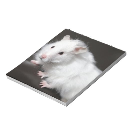 Teddy Bear Hamster Notizblock (Rotiert)