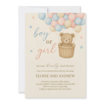 Teddy Bear Hot Air Ballon Gender Reveal