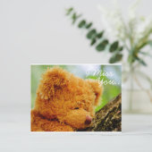 Teddy Bear I Miss You Postkarte (Stehend Vorderseite)