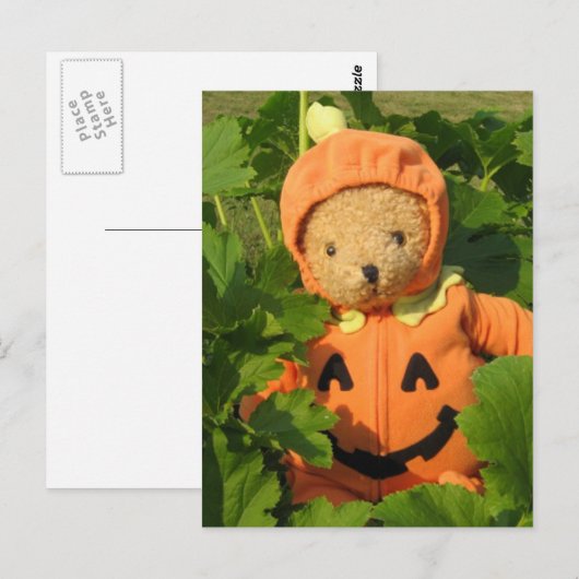 Teddy Bear im Pumpkin Patch Postkarte (Vorne/Hinten)
