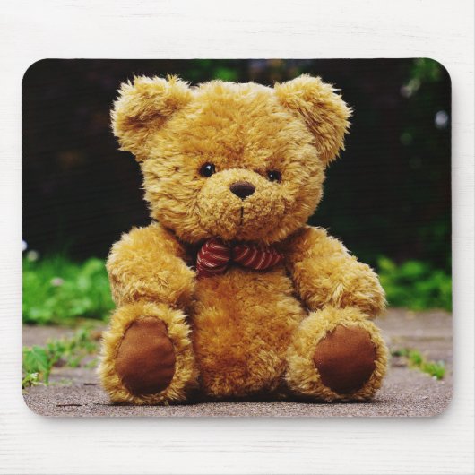 Teddy Bear Mousepad (Vorne)