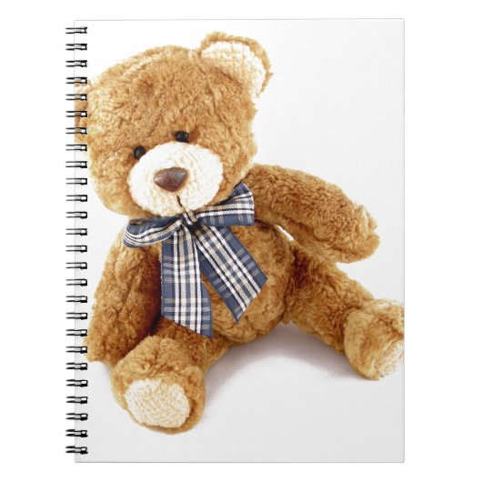 Teddy Bear Notizblock (Vorderseite)