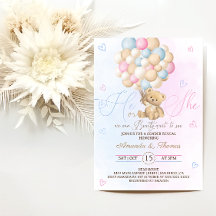 Teddy Bear Pink Blue Gender Reveal