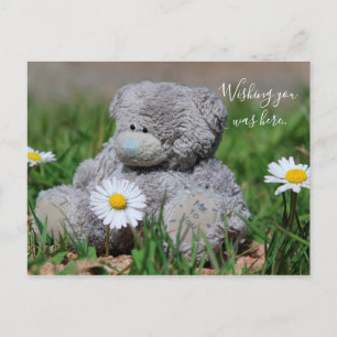 Teddy Bear Postkarte
