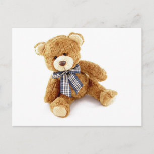 Teddy Bear Postkarte