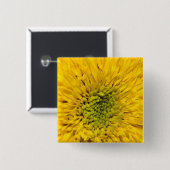 Teddy Bear Sunflower Button (Vorne & Hinten)