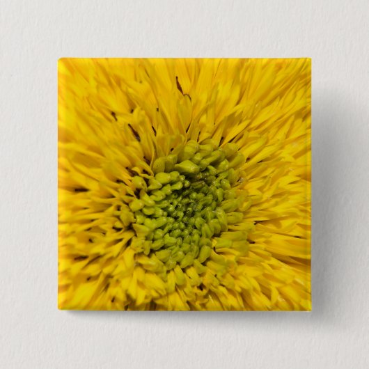 Teddy Bear Sunflower Button (Vorderseite)