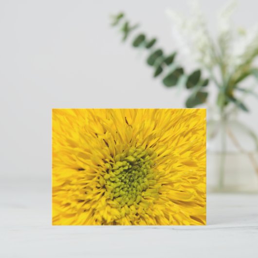 Teddy Bear Sunflower Postkarte (Stehend Vorderseite)