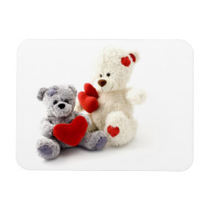 Teddy Bears haben ein Premium Magnet