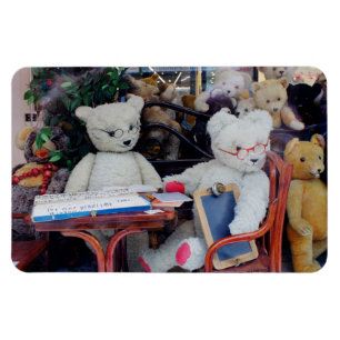 Teddy Bears Lektionen lesen Magnet