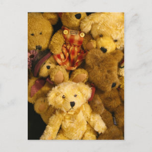 Teddy Bears Post Cards Postkarte