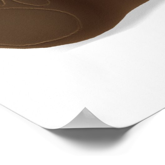 Teddy Bearz Poster (Ecke)