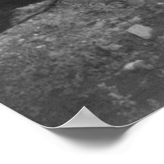 Teddy Goes Bear Junting, 1905 Poster (Ecke)