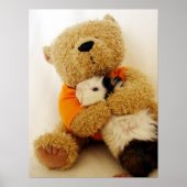 Teddy Hugs A Guinea Pig Poster (Vorne)