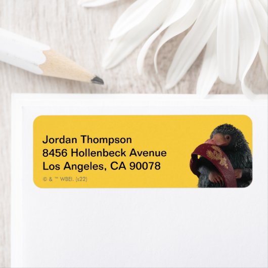 Teddy mit Krawatte Graphic (Insitu)