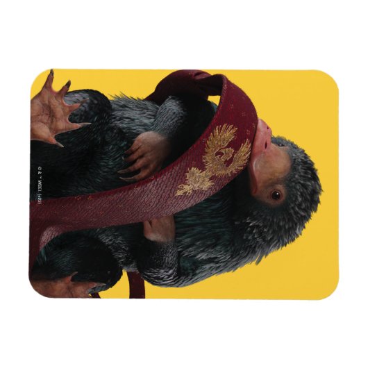 Teddy mit Krawatte Graphic Magnet (Horizontal)