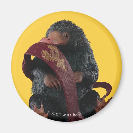 Teddy mit Krawatte Graphic Magnet (Vorne)