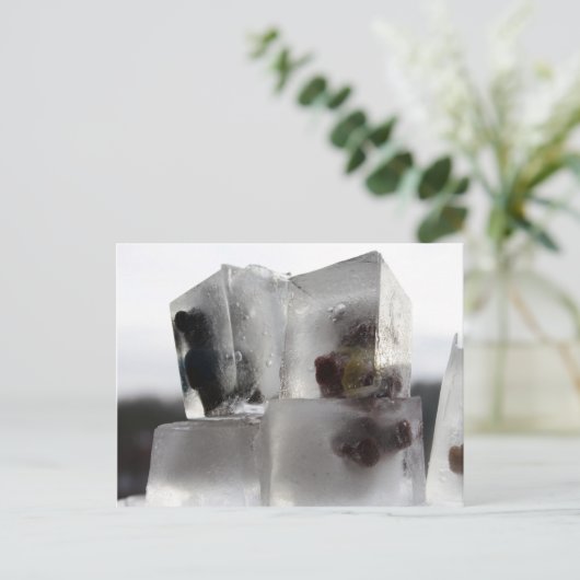 Teddy Postkarte (Stehend Vorderseite)