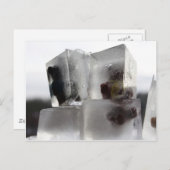 Teddy Postkarte (Vorne/Hinten)