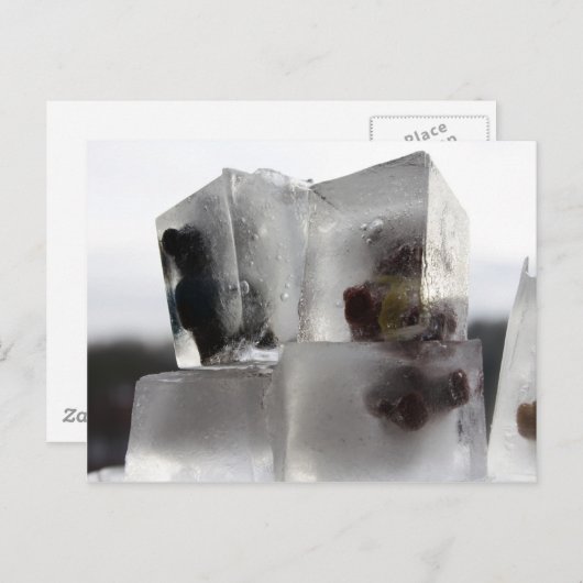 Teddy Postkarte (Vorne/Hinten)